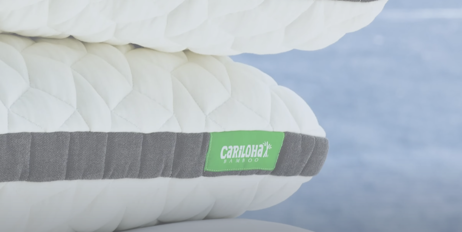 Cariloha pillows